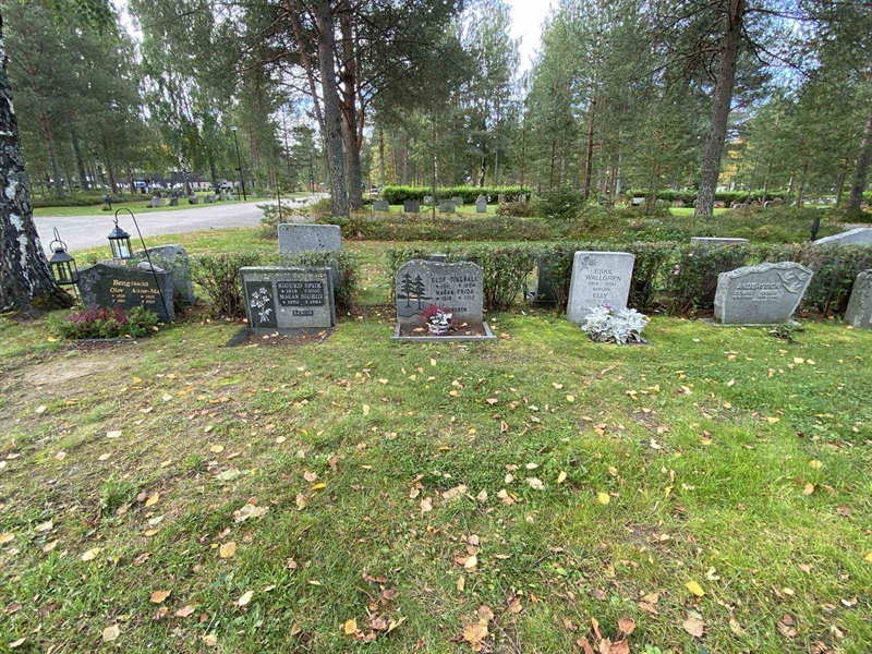 Grave number: 3 16   161