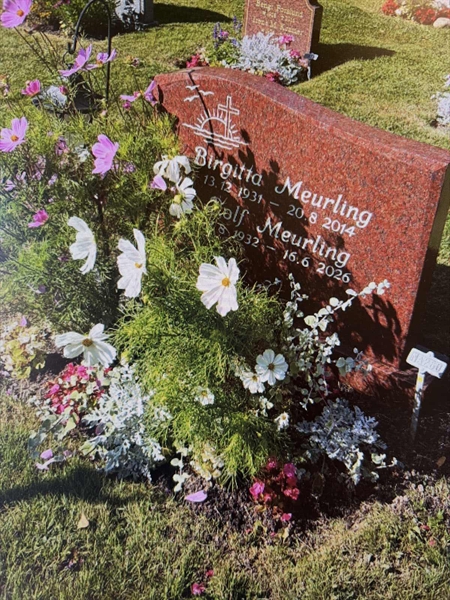 Grave number: 1 NA   260