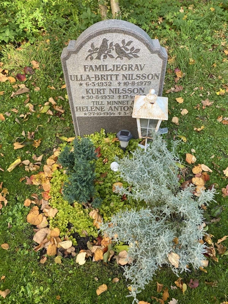 Hautatunnus: 1 H   237