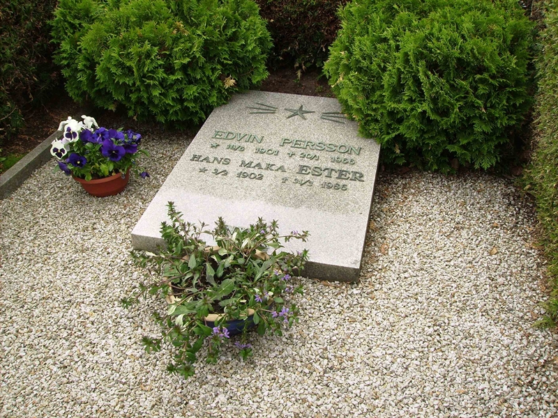 Grave number: LM 2 18  137