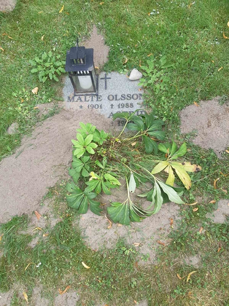 Grave number: VO C   202