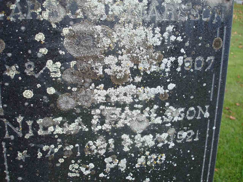 Grave number: FN J     5, 6