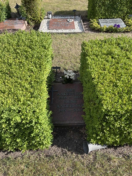 Grave number: NK XX:u    56