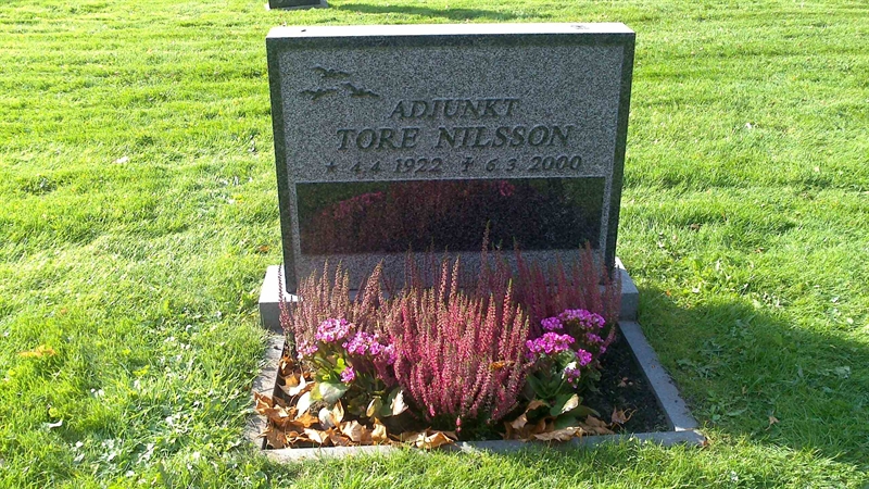 Grave number: ÖKK 3    65