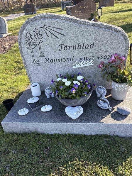 Grave number: LN 005  1236, 1237, 1238