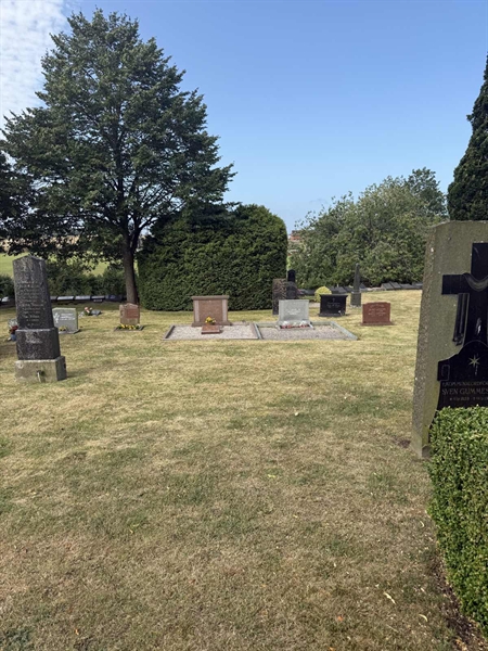 Grave number: SP A   224