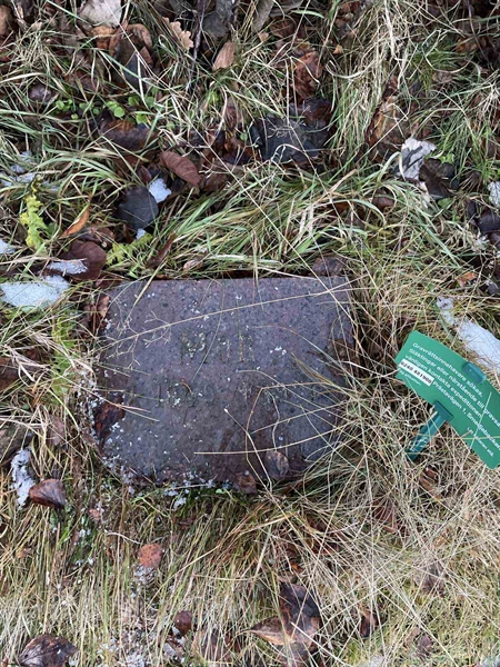 Grave number: GK A 5    44V