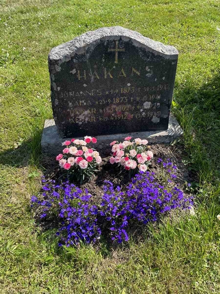 Gravnummer: N 5 1    35