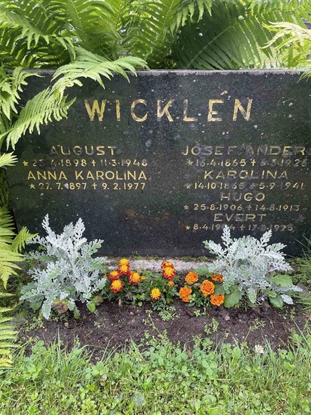 Hautatunnus: N 4 4   631