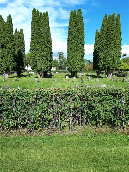 Gravnummer: NK F A   107