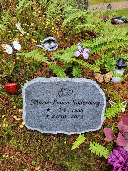 Grave number: H HA   228