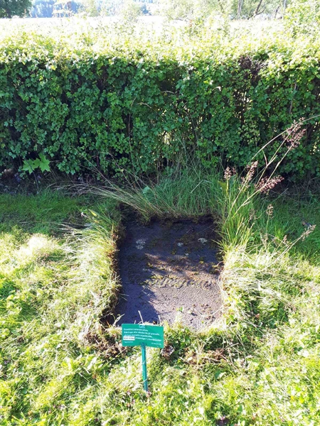 Gravnummer: GK F 5   517BC