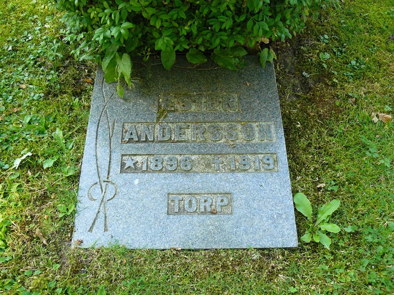 Grave number: Er G 3    84
