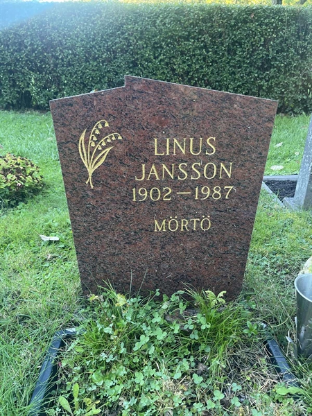 Hautatunnus: HVRÖ IV 11    35