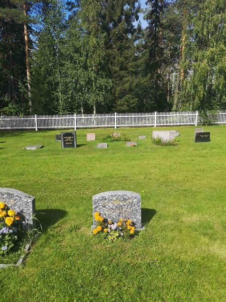 Gravnummer: POK 03    49