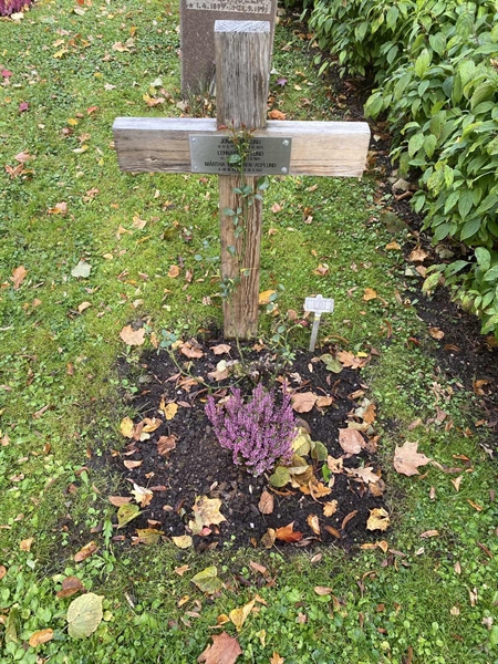 Hautatunnus: 1 H   230