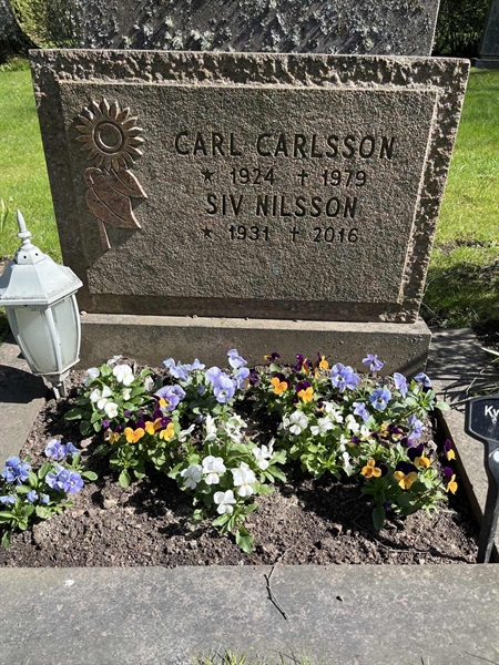 Gravnummer: 22 AA     9