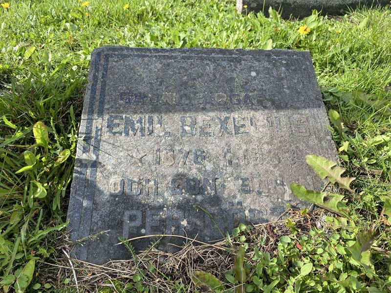 Grave number: 2 08 142