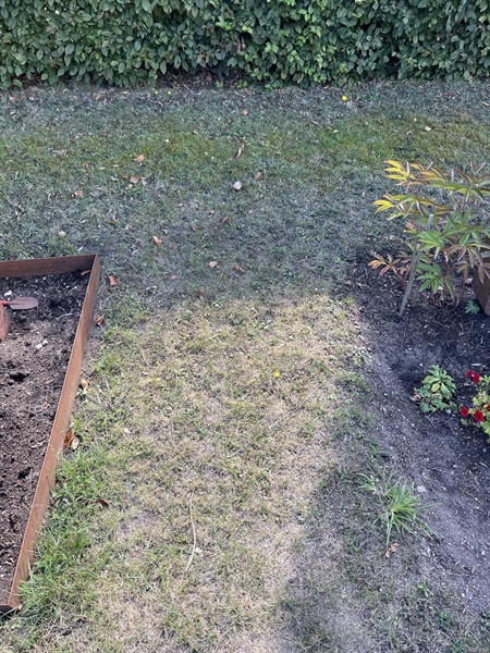 Grave number: NK XV:u    22