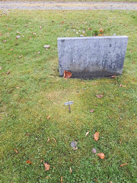 Hautatunnus: GK U 1    67