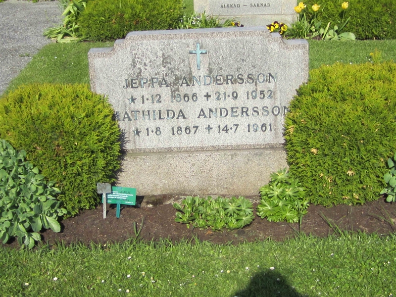 Grave number: 2 20    11