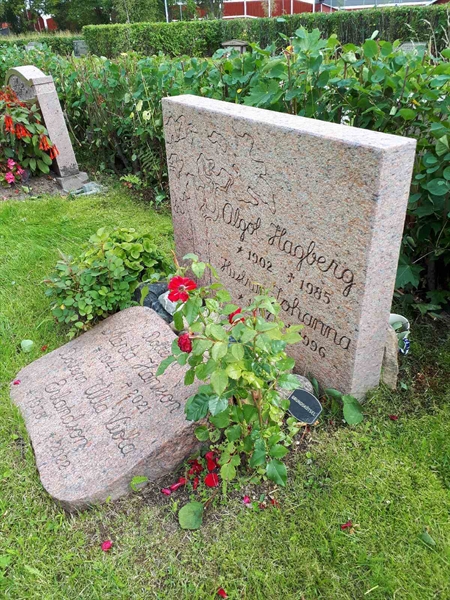 Hautatunnus: NK F C   139-140