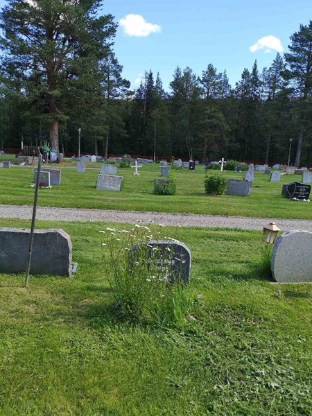 Hautatunnus: PK   446