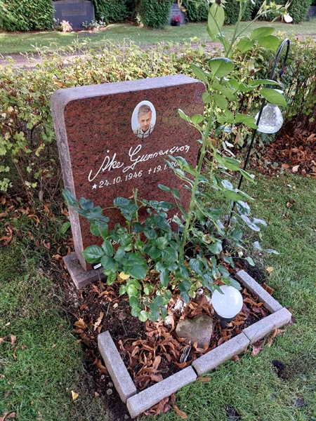 Hautatunnus: 1 D   131