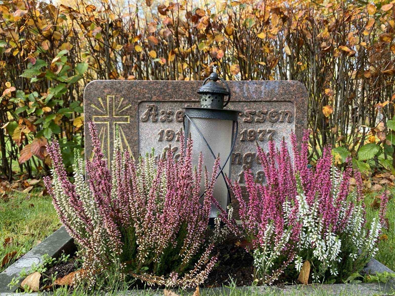 Gravnummer: 1 24     57