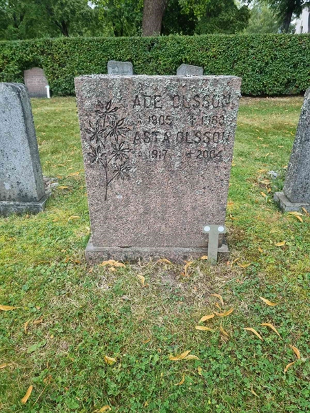 Grave number: 1 13  234, 235