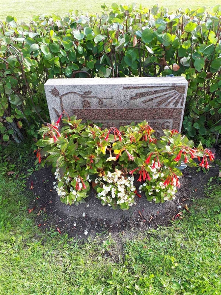 Gravnummer: NK F B   218A