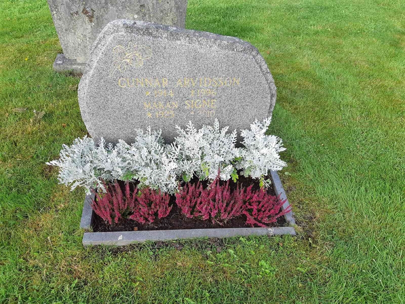 Hautatunnus: Fr 8   507-508