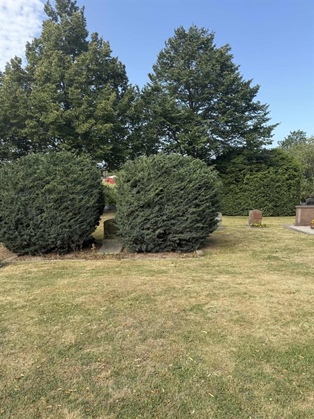 Grave number: SP A 216, 217