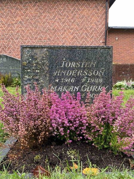 Hautatunnus: 1 24    141