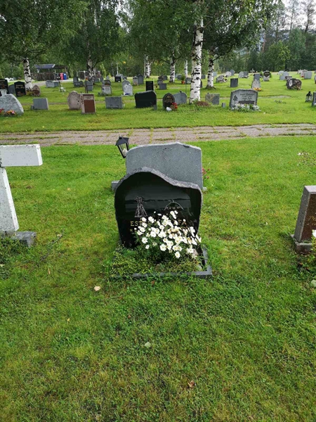 Hautatunnus: NK 17    86