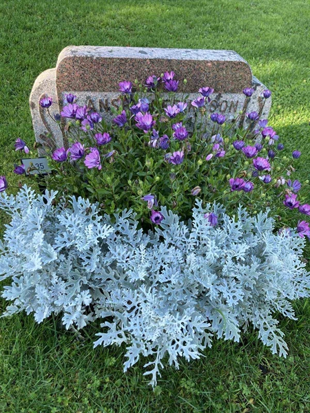 Grave number: 1 NA    35
