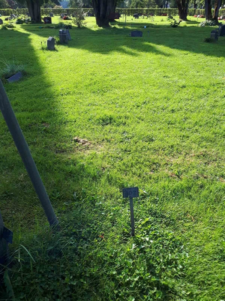 Gravnummer: NK A A   402