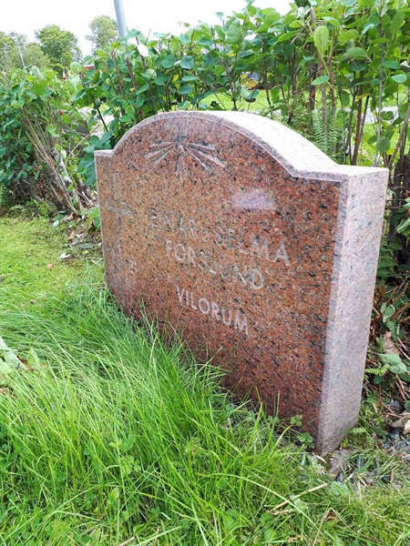 Hautatunnus: NK F C   121-122