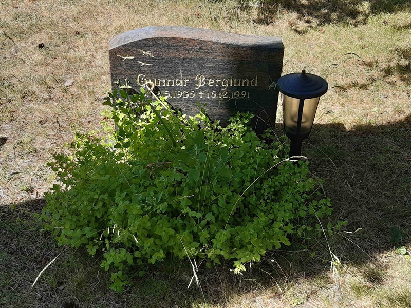 Grave number: VI 05   837