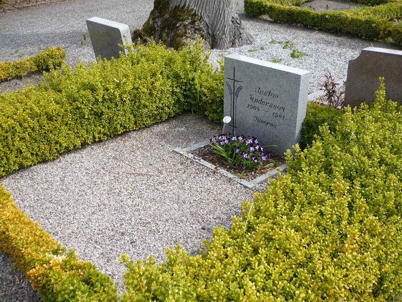 Grave number: 1 9    80