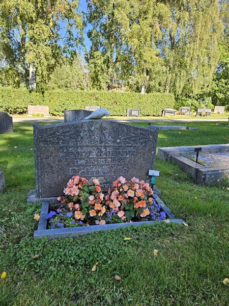 Grave number: Fr 7   244-245
