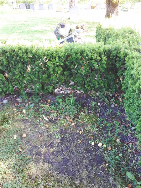 Hautatunnus: GK U 4   612