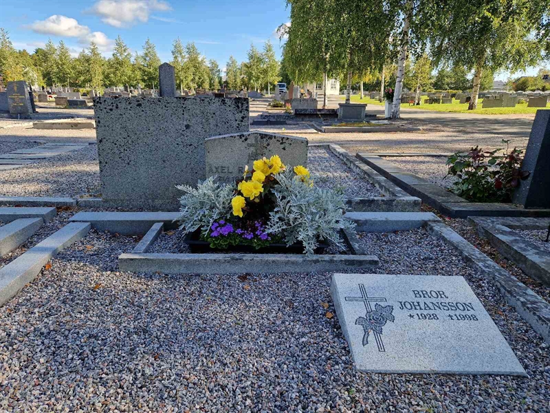 Grave number: 2 06   196