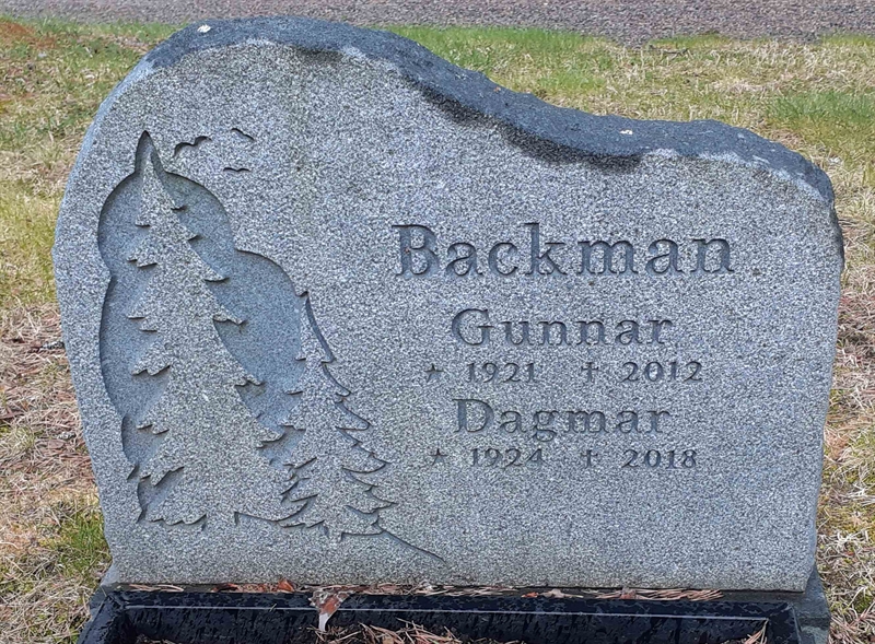 Grave number: 3 02    50
