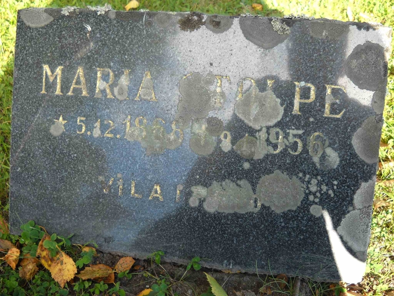 Grave number: 3 MB 16 51