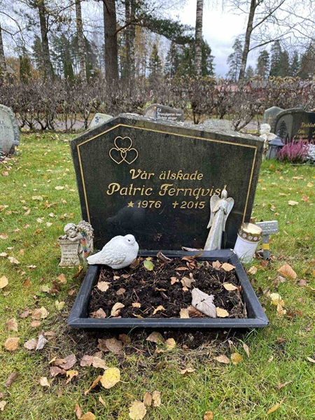 Grave number: 1 29     81