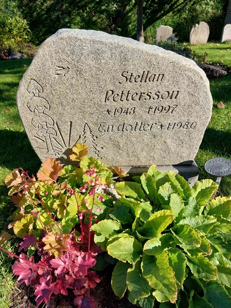 Hautatunnus: 1 L   050