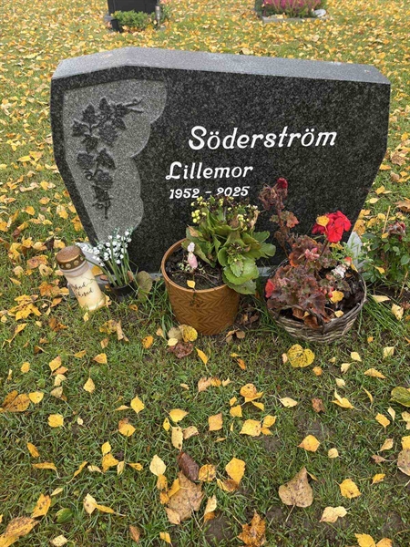 Gravnummer: 1 01   240