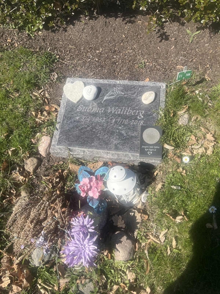 Grave number: 1 3 F1 308