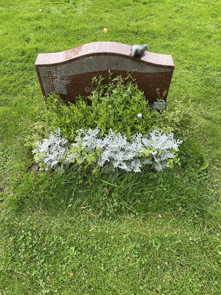 Gravnummer: 2 C   796-797